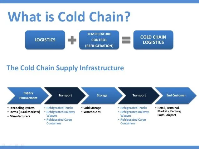 process of cold chain